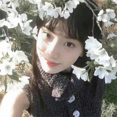 恶灵坎蒂莎