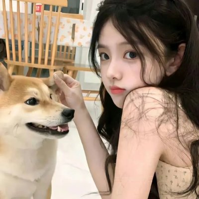 毁婚二十一条
